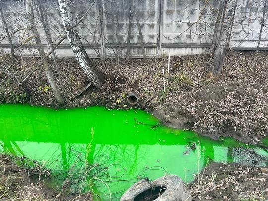 Жители подмосковного Раменского обнаружили воду необычного цвета в деревне Кузнецово. Ярко-зеленая..