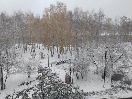 КОГДА ВЫГЛЯНУЛ УТРОМ В ОКНО 😃
Фото участников группы "Балашиха..