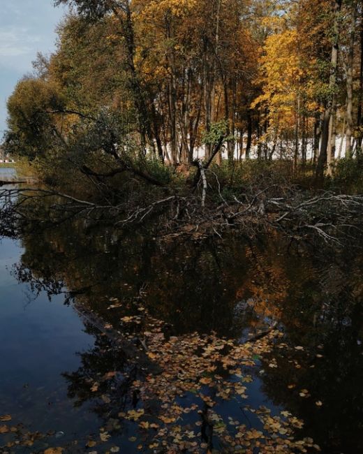 Очарование осени в усадьбе Горенки...