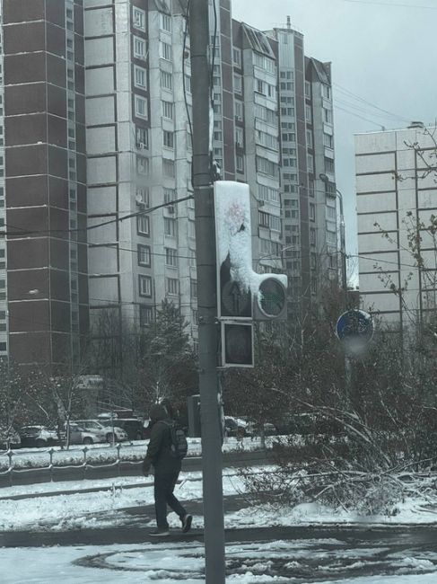 🚦Светофор не смог противостоять стихии снега  ТГК Живой..