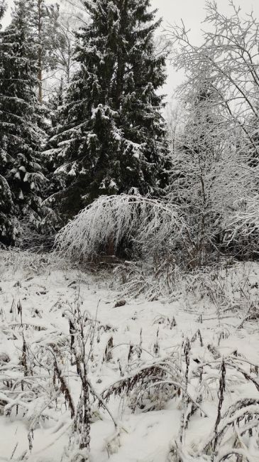 Последнее воскресенье..