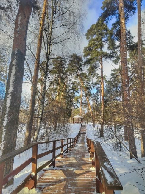 Памятник природы «Серебряный бор» - жемчужина Москвы.  Фото: Ирина..