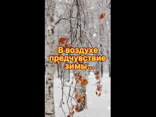 Снежное Щелково сегодня❄️  Убирать улицы начали с..