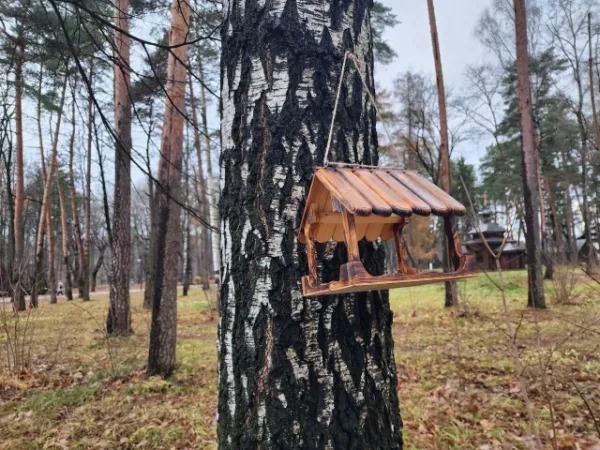 Доброго сонного утра, друзья.
Хочется в теплую кроватку, а не на..