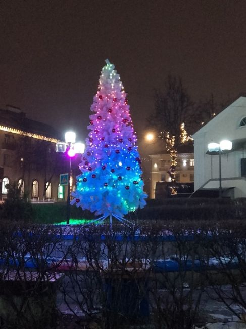 Вот уже и первые ёлочки в городе🎄
Новый год уже не за..