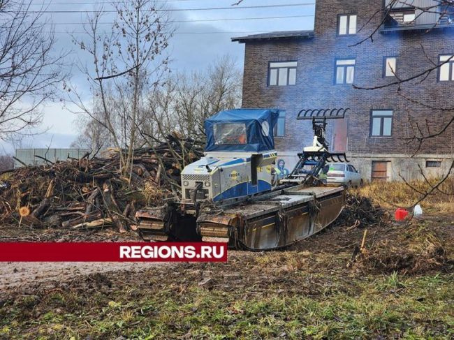 Пруд в Софрине очистят от упавших деревьев, не повреждая ил на дне.  Клинниковский пруд в Пушкинском округе..