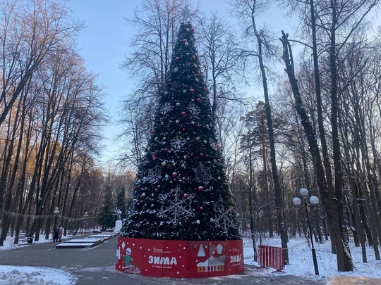 В этом году в Красногорске установят 24 елки, 9 из которых - новые. В парках установят..