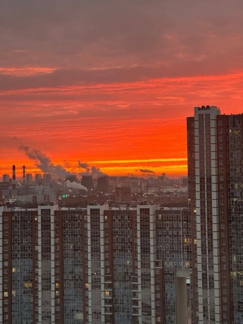 Завораживающий рассвет в Химках сегодня..