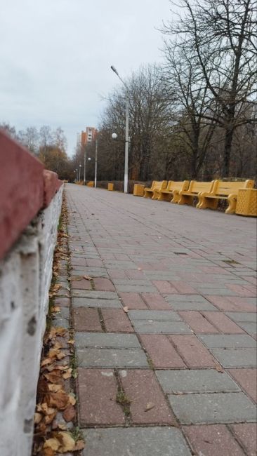 ⚡ Серпуховский парк «Питомник» решили отремонтировать  На территории, которую предприниматели арендовали..