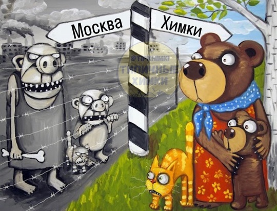 Жители Подмосковья счастливее москвичей — исследование 🥰  Москвичи заняли 13-е место в рейтинге регионов..