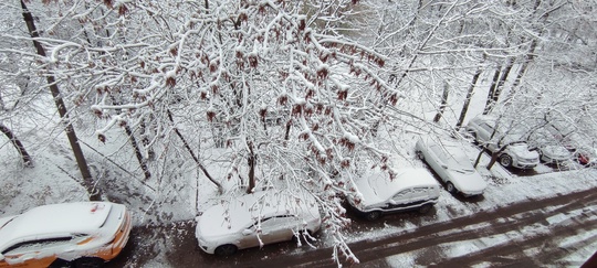 Снег на день народного..