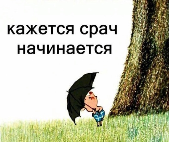 «Ахмат — Слива»: в Москве разрисовали памятник Кадырову  В Бутово неизвестные нанесли краской надписи на..