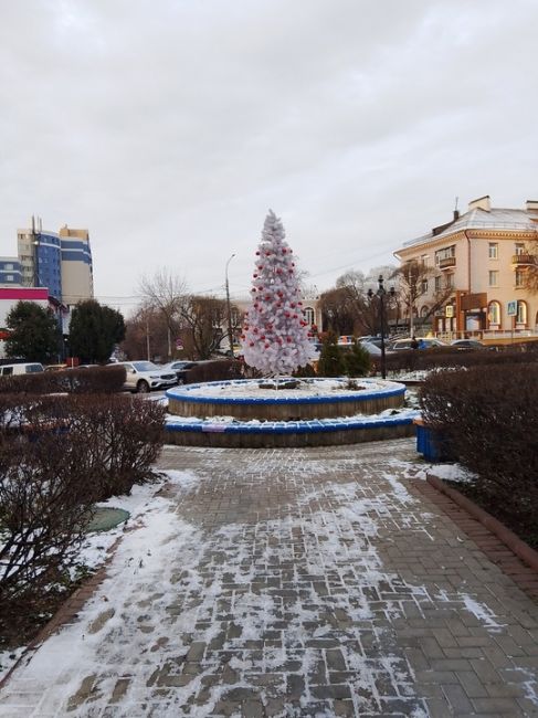 Вот уже и первые ёлочки в городе🎄
Новый год уже не за..