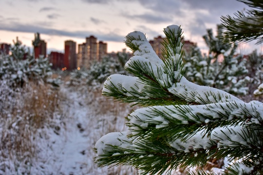 ЗИМНЯЯ СКАЗКА ❄
Фото Кирилл Островский /..