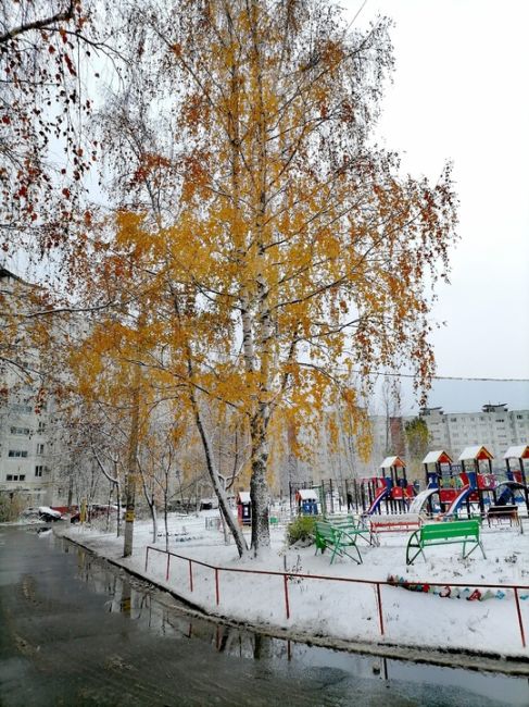 Доброе утро, Ногинск.👍️
Присылайте фото снежного города.  Спасибо подписчице за..