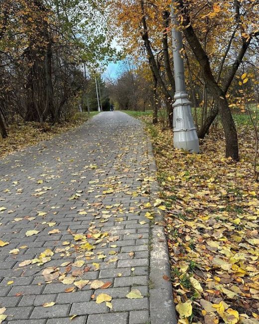 🍁Прогулка по Митинском парку  Вам нравится..