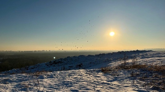 НОЯБРЬСКИЙ ДЕНЬ НА ЛИСЬЕЙ ГОРЕ
📷..