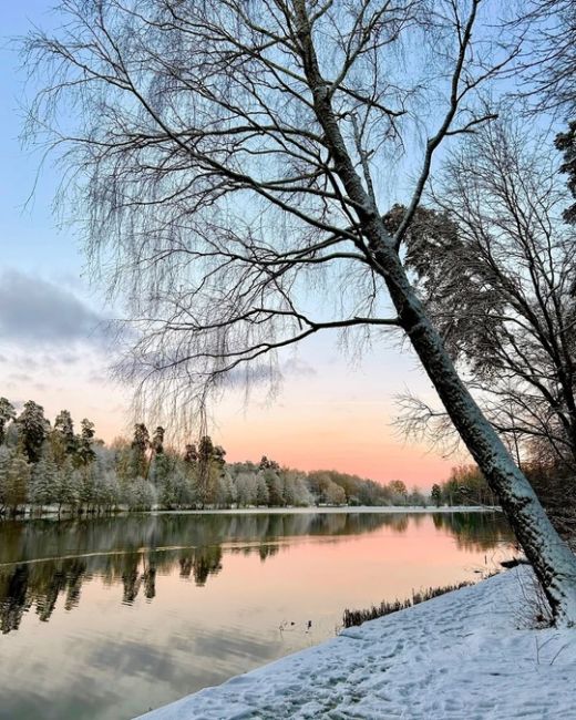 Зимние картины ноября!❄ 
📍Булганинское Озеро 
📸 Марина..