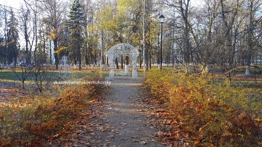 Доброе утро любимый город! ☕🍁  город..