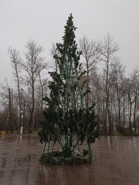 Вот такая ёлочка в парке Питомник радует горожан, создавая предновогоднее настроение, украшая собой наш..