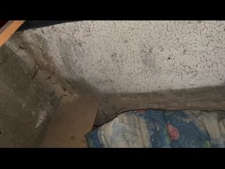 От подписчика:  ООО «ДГБ» врёт, что двери в подвалы закрыты и там никто не живёт. Сегодня жильцы сами пошли..