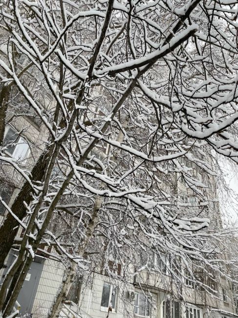 ❄Ваши великолепные снимки, сделанные на фоне снега  Для отправки фотографий используйте комментарии под..