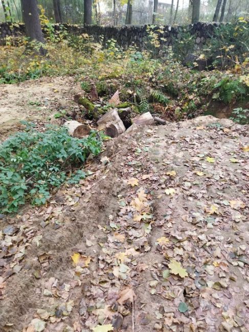 Всё хотели сухостой на Волхонке убирать, всё писали об этом, а результата... 
Один квадрат убрали и забили...