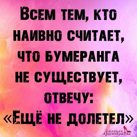 Нерадивые хозяева оставили собаку с вещичками и запиской у «Глобуса» в Юдино 😢  Двухлетний джек-рассел..