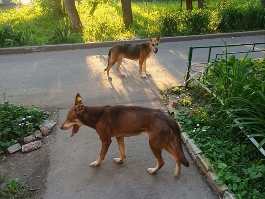 ⚡ Сегодня в социальных сетях живо обсуждается инцидент, произошедший в одном из домов по ул. Калинина в..