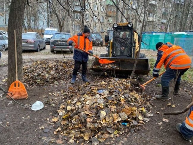 В Пушкино активно работают над уборкой городских территорий.  Несмотря на приближение конца осени,..