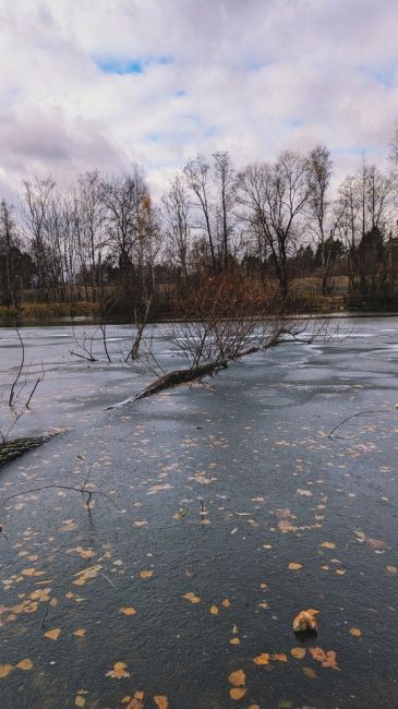 От осени 🍁 к зиме ❄ 🔥  Снято на 📴 Google Pixel..