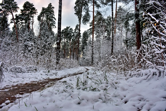 ЗИМНЯЯ СКАЗКА ❄
Фото Кирилл Островский /..