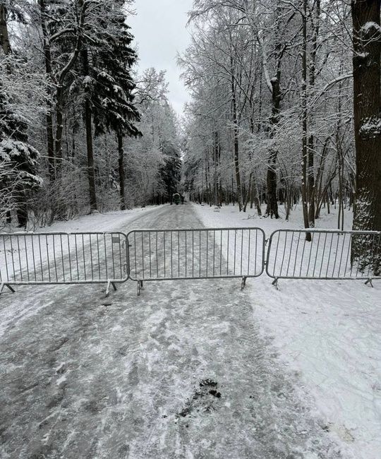 Часть 600-метрового круга на Лазутинке закрыта в связи с тестовым пуском системы оснежения  Готовьте..