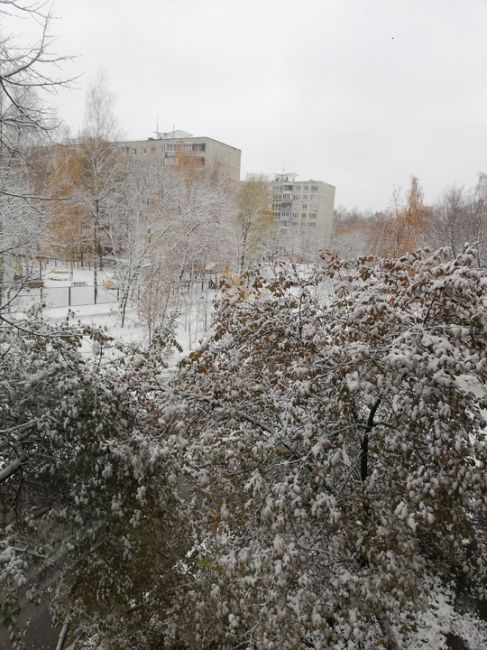 КОГДА ВЫГЛЯНУЛ УТРОМ В ОКНО 😃
Фото участников группы "Балашиха..