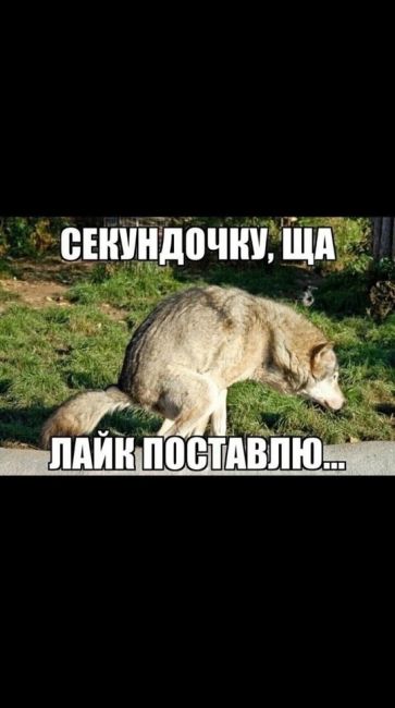 Вечеринки с живой музыкой у Марико 18+ 🥳  Каждый четверг, пятницу, субботу и воскресенье приходите на..