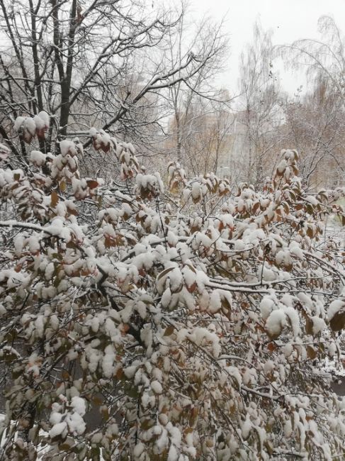 КОГДА ВЫГЛЯНУЛ УТРОМ В ОКНО 😃
Фото участников группы "Балашиха..