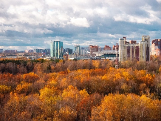 Поздняя осень в Химках 🍂  Фото - ShiroKopeyka..