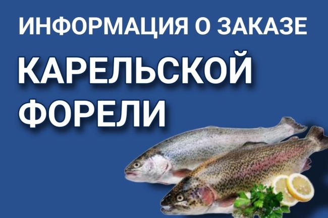 Уважаемые друзья, соседи. 
Начался сезон Карельской форели! 
Доставку ожидаем 16.11.2024г 
Форель ИКОРНАЯ 📣 
..