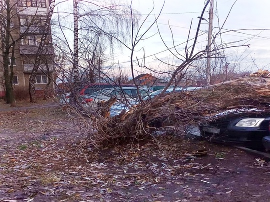 🚜 Последствия ураганного ветра в Коломне устраняют бригады ДГХ  Ураганный ветер, прошедший ночью по..