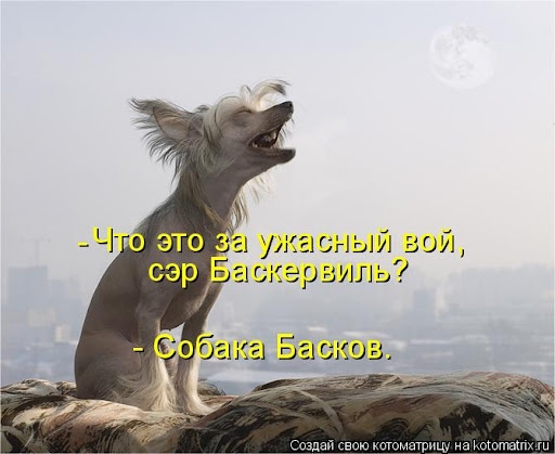 В районе второй Балашихи, около 22-х совершенно чудовищно выла собака, может кто видел, что случилось с ней?..