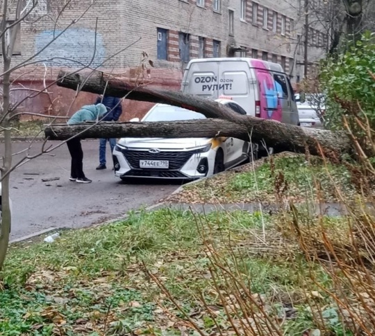 Трофимова,16
Не паркуйтесь под..