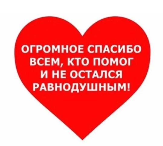 Жительница Орехово-Зуево увидела видео где бабулю обижает мужик, за то что она кормит кошек, это ситуация не..