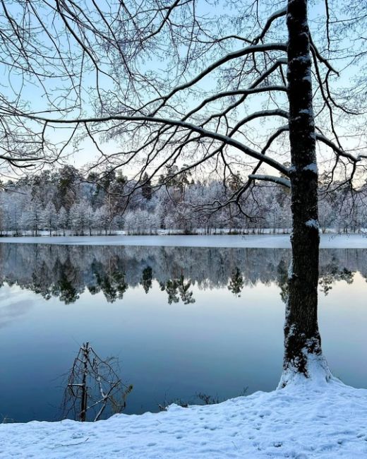 Зимние картины ноября!❄ 
📍Булганинское Озеро 
📸 Марина..