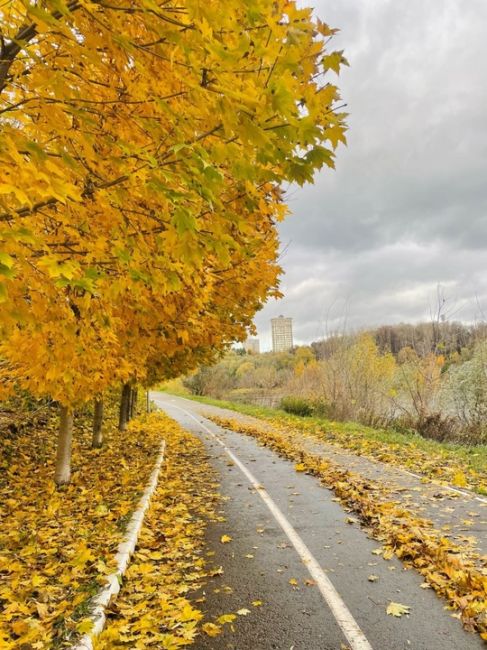 Город великолепен в этих осенних красках) 🌾🍁🍂  📸 Алёна..