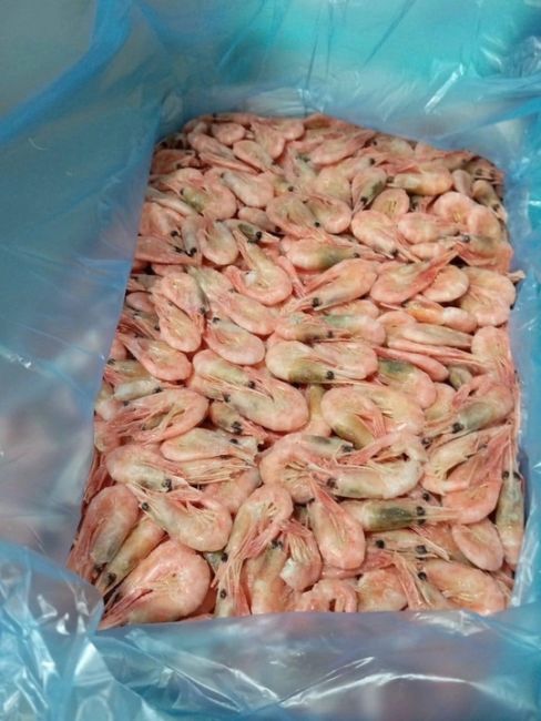 ДОСТАВКА КРЕВЕТОК ИЗ МУРМАНСКА🦐
Свежие креветки напрямую от производителя!  1️⃣ Вариант: 5 кг кревекток..