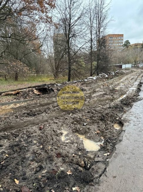 Грязевое месиво в парке Толстого со стороны ул.Кудрявцева 😱  Будет интересно к следующему лету сравнить эту..