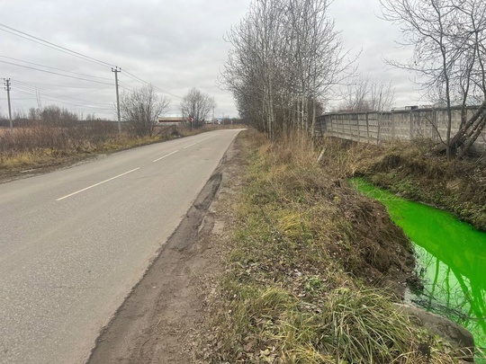 В Кузнецово под Раменским местные жители заметили канал с кислотно-зеленой водой...  «Кислотную реку» в..