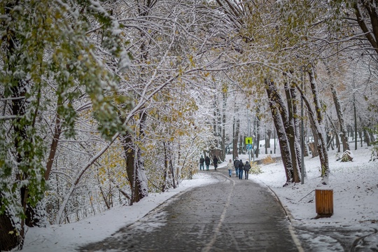 Алексей Гречушников  Немного снежного парка 🌨
город..