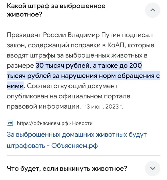 В микрорайоне Сакраменто в первые морозы кто-то выбросил на улицу домашнего, доброго и ухоженного кота. 
..