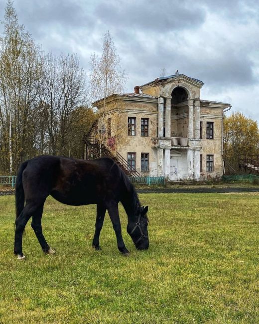 Это не загородная усадьба лорда Байрона, это Электросталь, стадион «Авангард».  Построен в 1953 году силами..